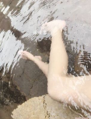 仙踪林贰佰网红金属_电视剧完整版在线观看