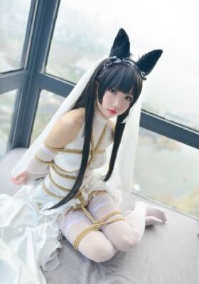 青青青爽免费视频在线观看_DVD免费电视剧